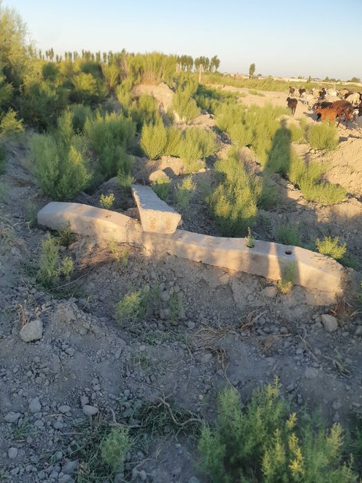 Шпал. Шпалера продаются.