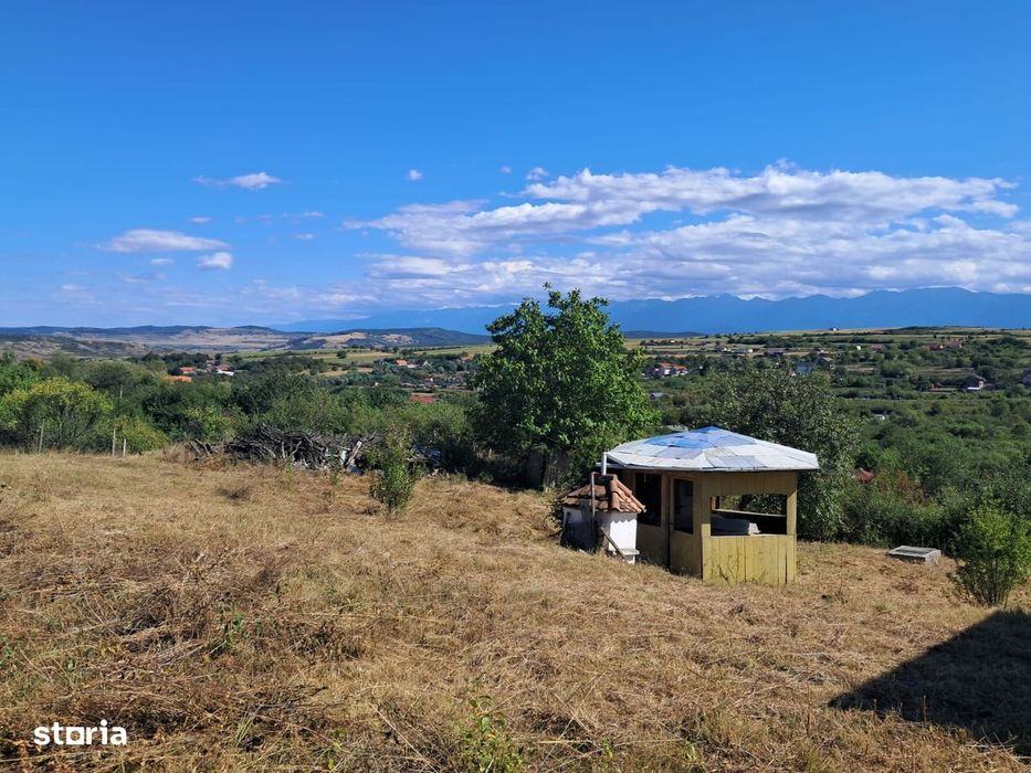Casa de vanzare in Daia Noua comuna Rosia