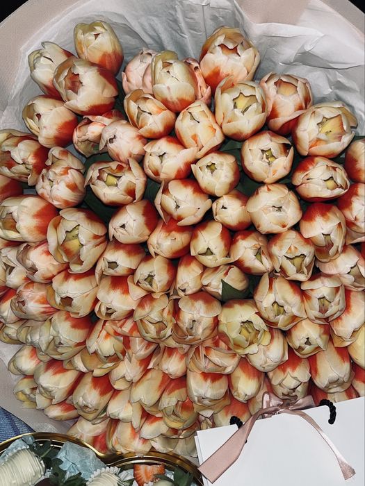 тюльпаны более 100штук