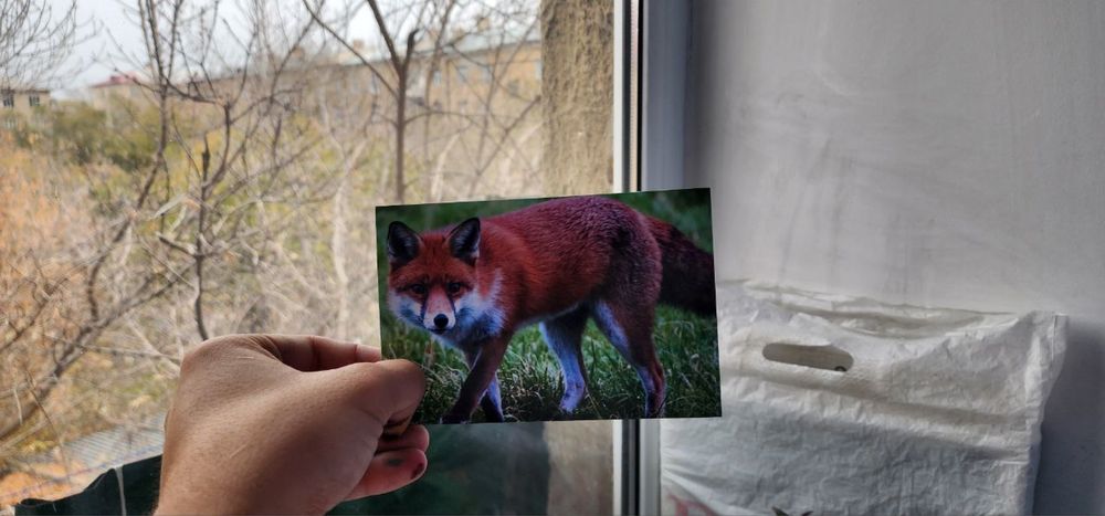 Принтер Epson L800