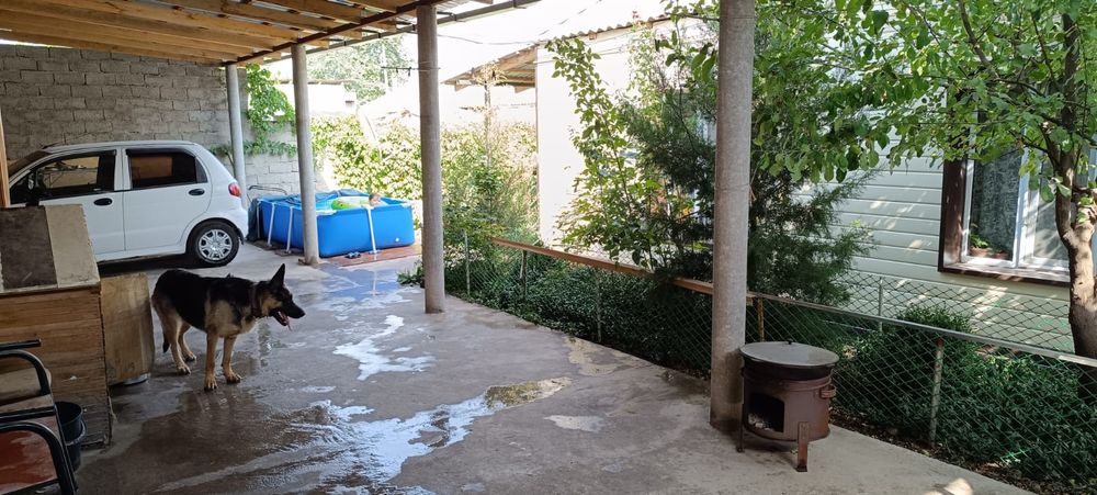 Продается два дома