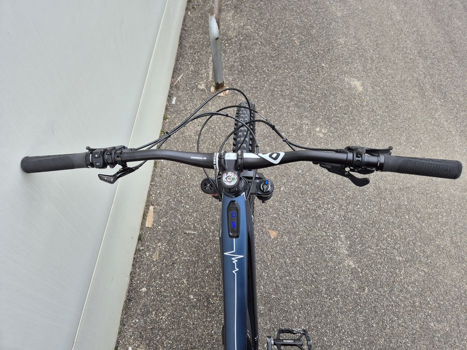 Specialized Turbo Levo 29 2020 Custom