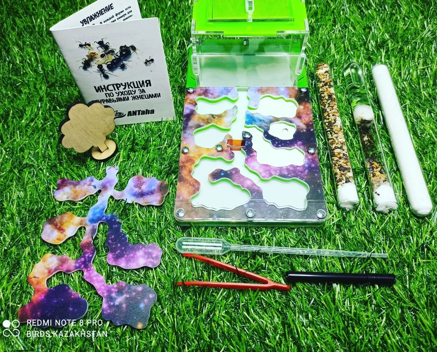 Ферма + Муравьи + корм. В АЛМАТЫ