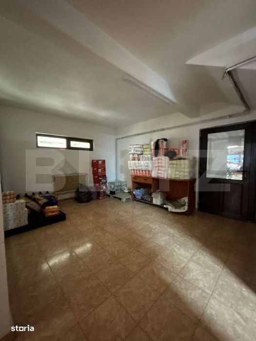 Cladire Mixta De Vanzare In Comuna Dumitra, Oportunitate De Investitie
