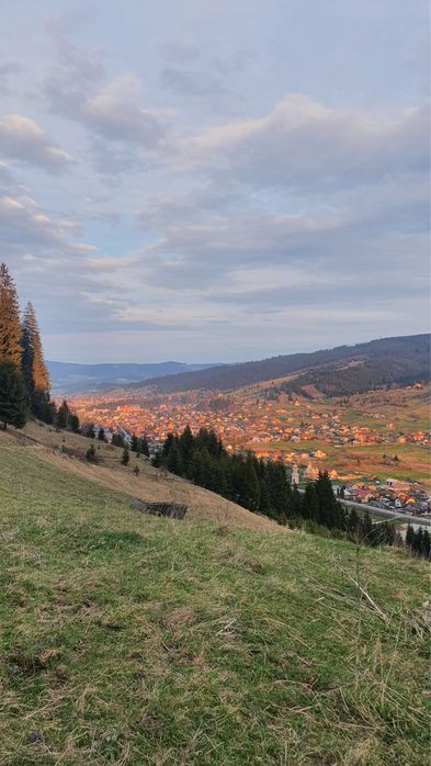 Gospodarie+teren de vanzare