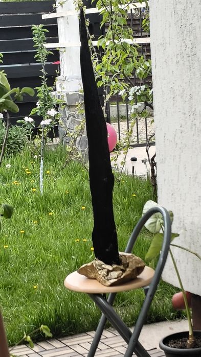 Lucrare din lemn și piatră!