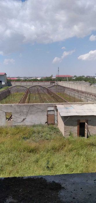 Парник темирлари ва турбалари сотилади (арка конструкция)