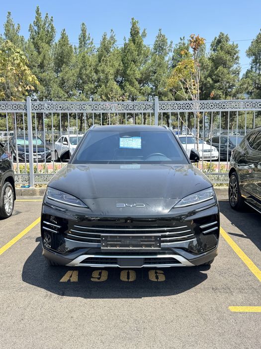 BYD champion 150