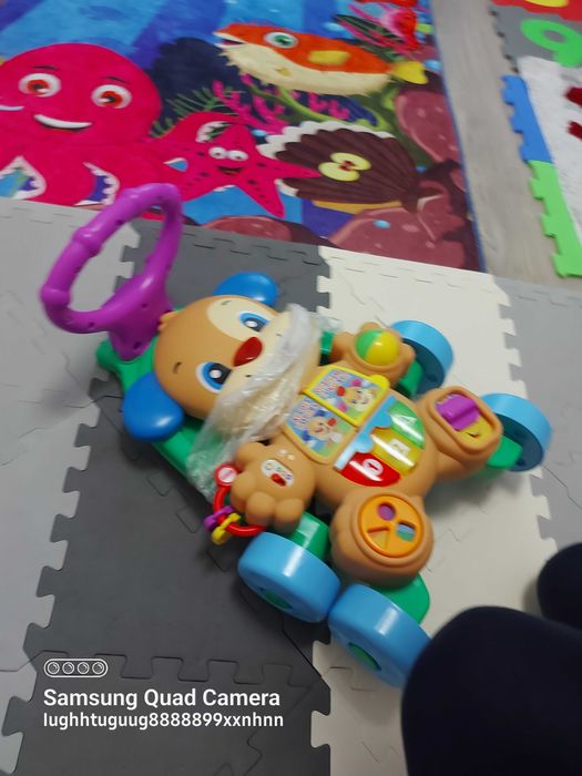 Antepremergator Fisher Price, 6m-30m