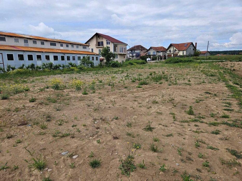 Teren de închiriat - Beius – 1.871 mp – Lângă LIDL & Centru Comercial