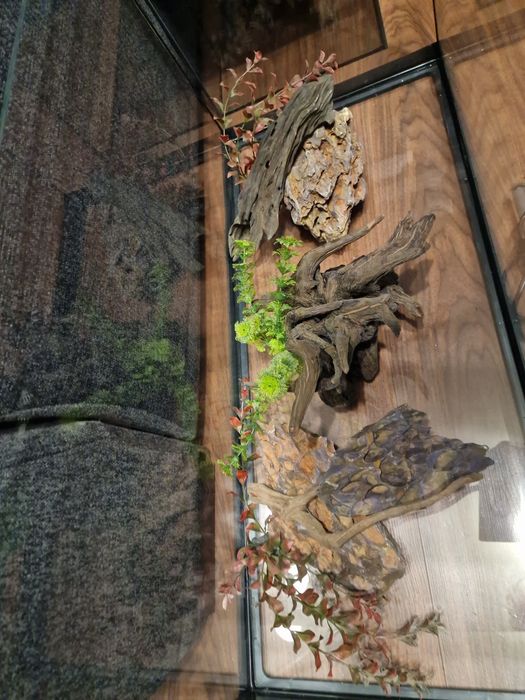 Acvariu complet echipat 100 litri