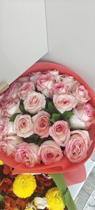 Цветы продам за пол цены