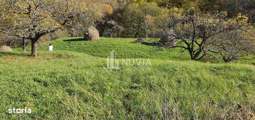 Teren extravilan,7000 mp,Salciua de Jos