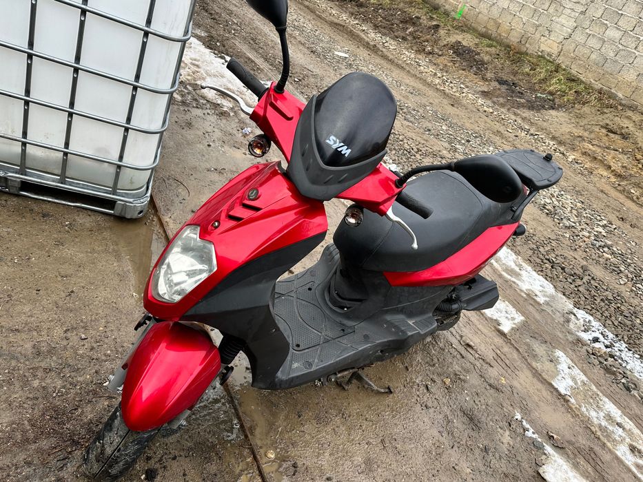 SYM 50 cm / 2400 LEI