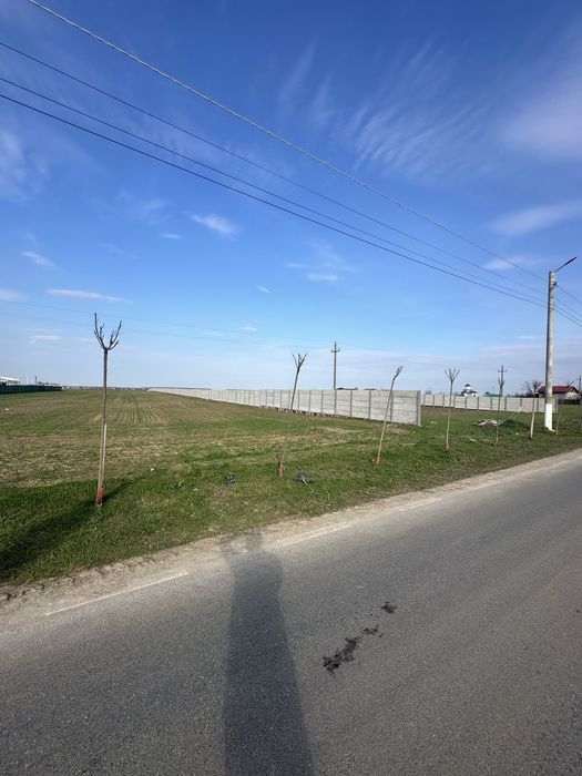 Teren de vanzare intravilan comuna Cernica,Balaceanca