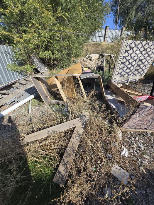 Отдам Бесплатно Дрову!