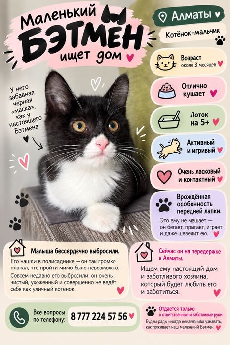 Котенок в добрые руки