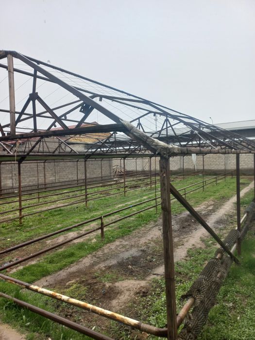 Теплица иссикхона