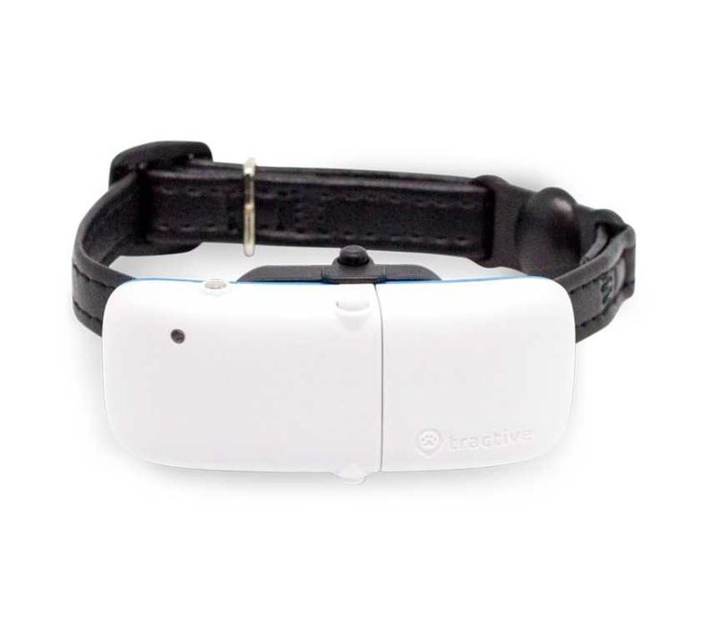 Dispozitiv monitorizare, GPS pentru pisici, Tractive GPS CAT 4