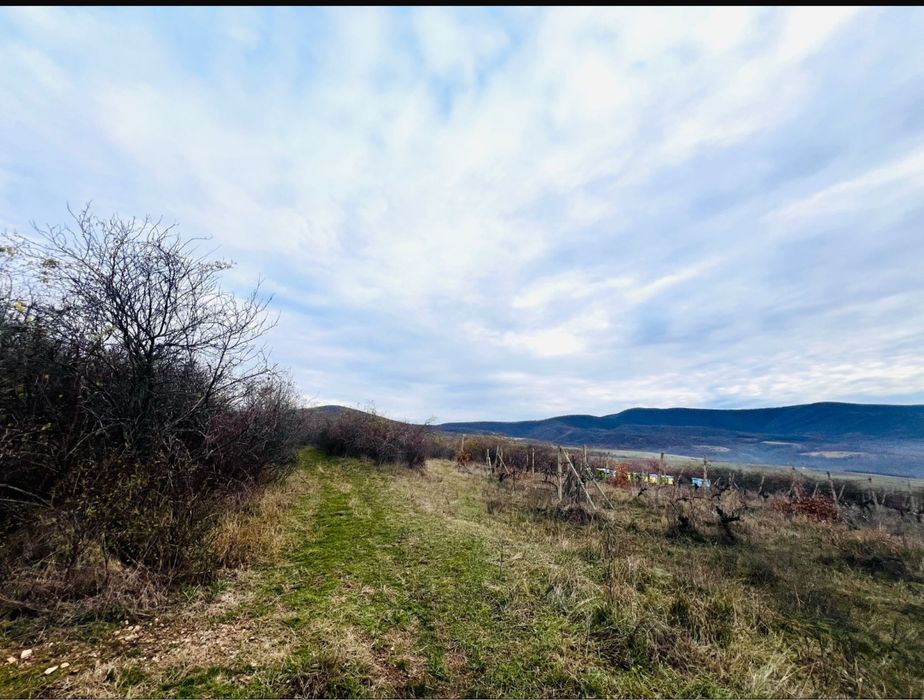 Șiria teren extravilan pe deal