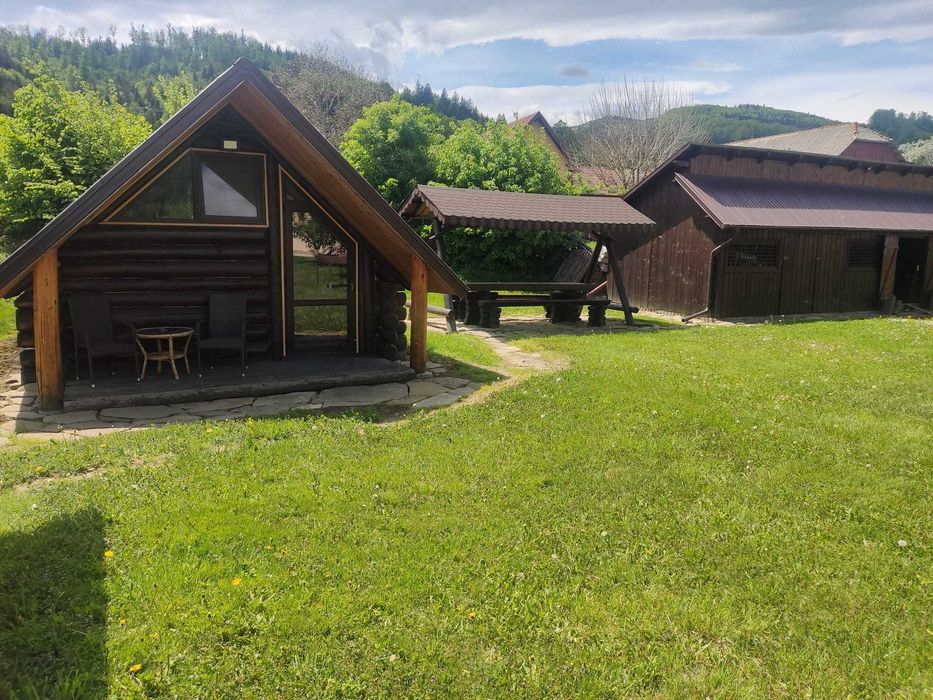 Pensiune și casa cu teren in Bucovina