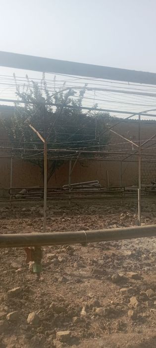 Теплица сотилади срочна