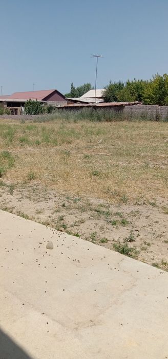 Kochmas mulk srocni sotladi