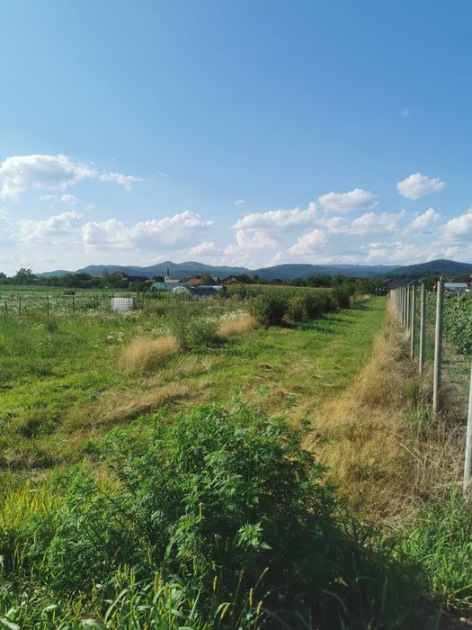 Teren intravilan, sat Sasar