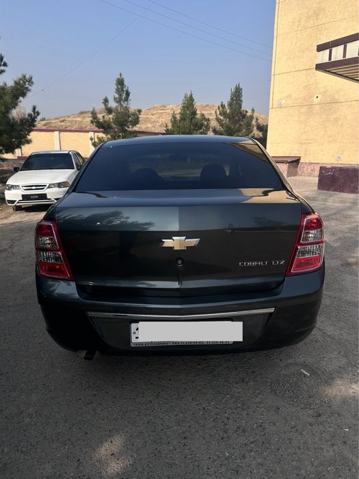 Cobolt 2024  краска тозза