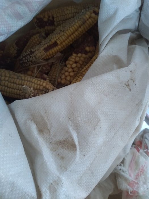 Жугери сатылады.