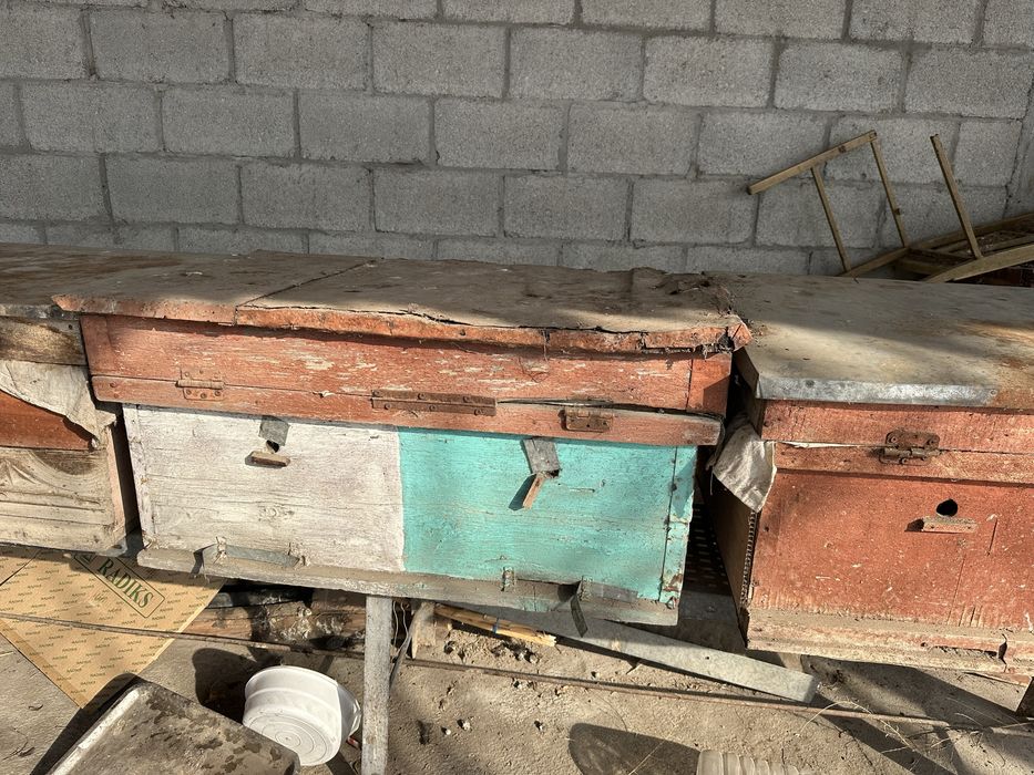 Ари яшик холати яхши