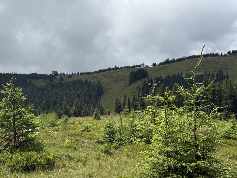 Cedez concesiune lot vf roman bolca 3