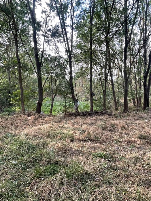 Teren intravilan com Mârzănești sat Valea Parului