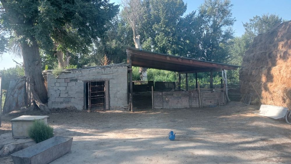 Үй сатылады, продаются дом