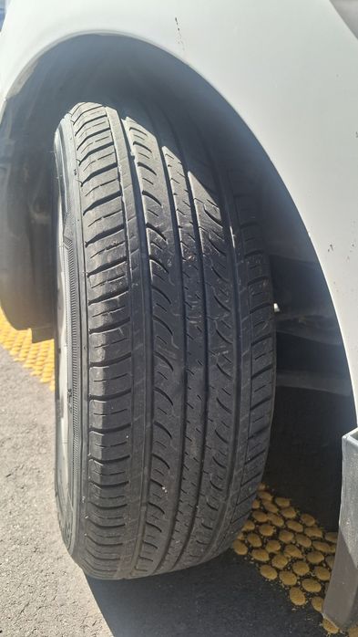 Minnell radial shinasi