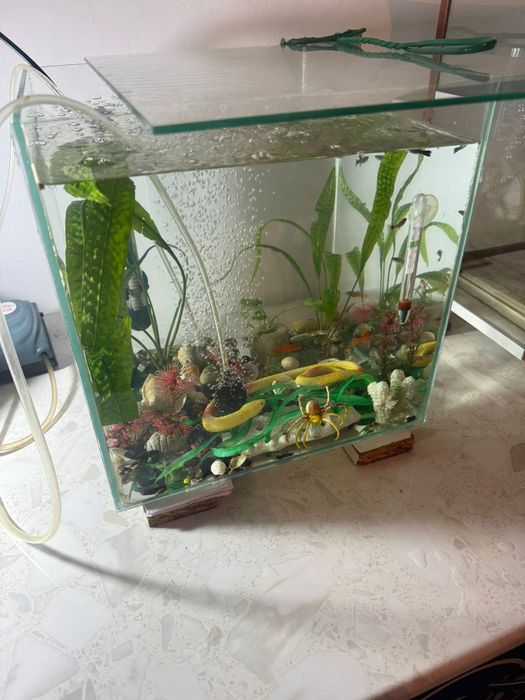 Аквариум с рыбками