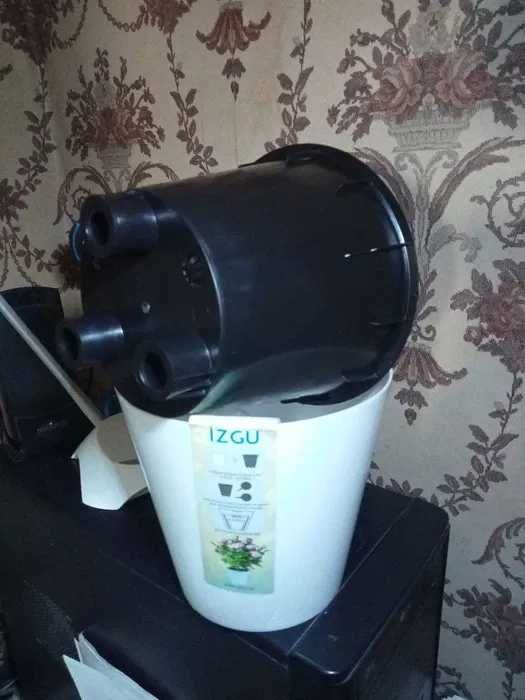 Кактус дерево - символ богатства, удачи, успеха.