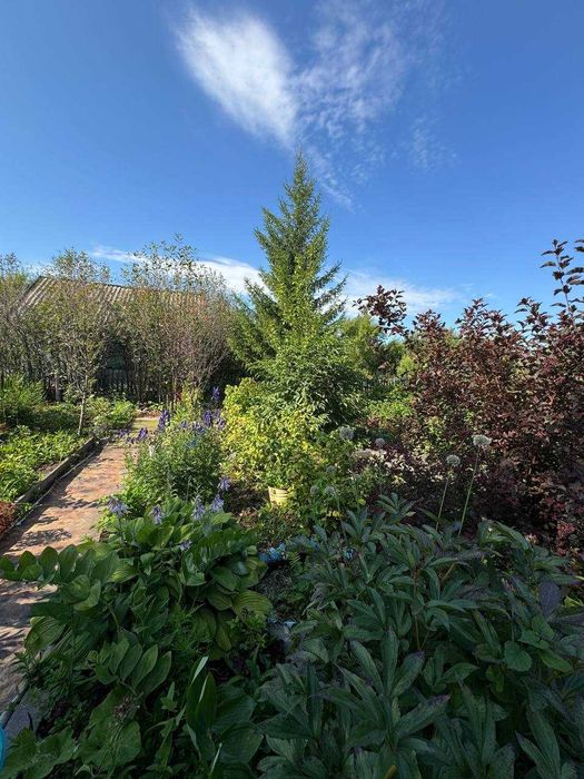 Продам отличную дачу