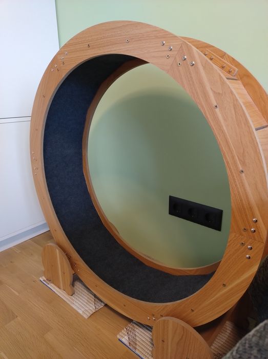 Котешко колело за бягане