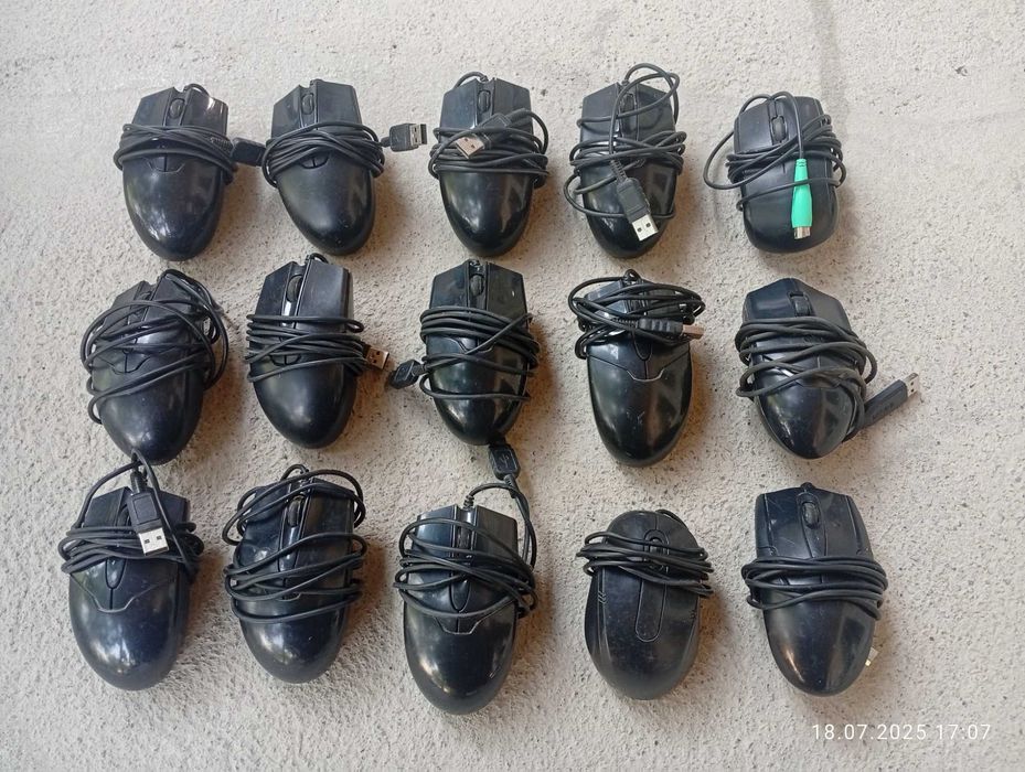 Mishka. Kompyuter sichqonchasi