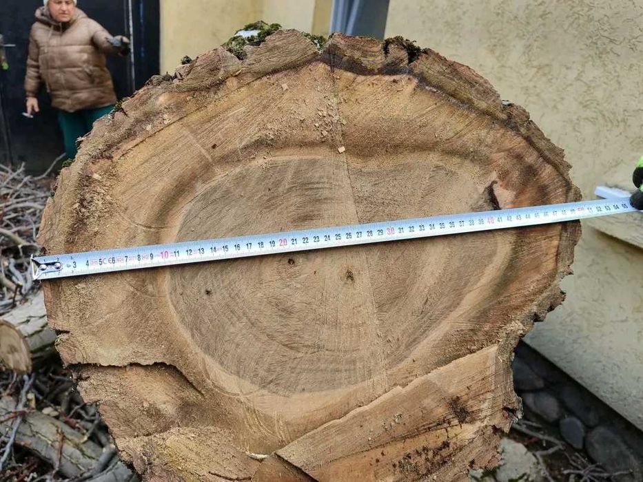 Орех дънер 53 см диаметър