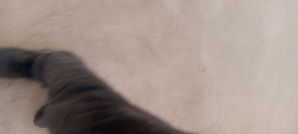 Neksiya 2  2009 sotiladi 60 mln