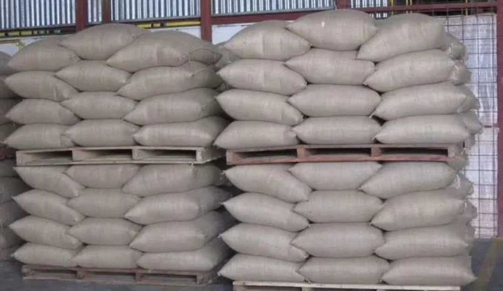 Продам зерно ячмень,