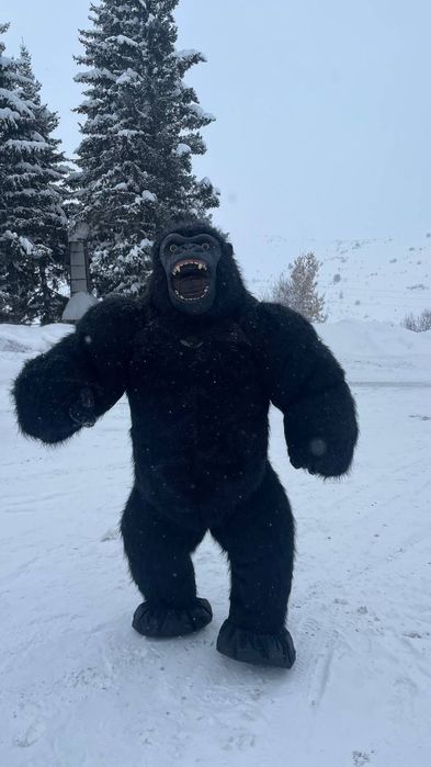 Продам роставые куклы