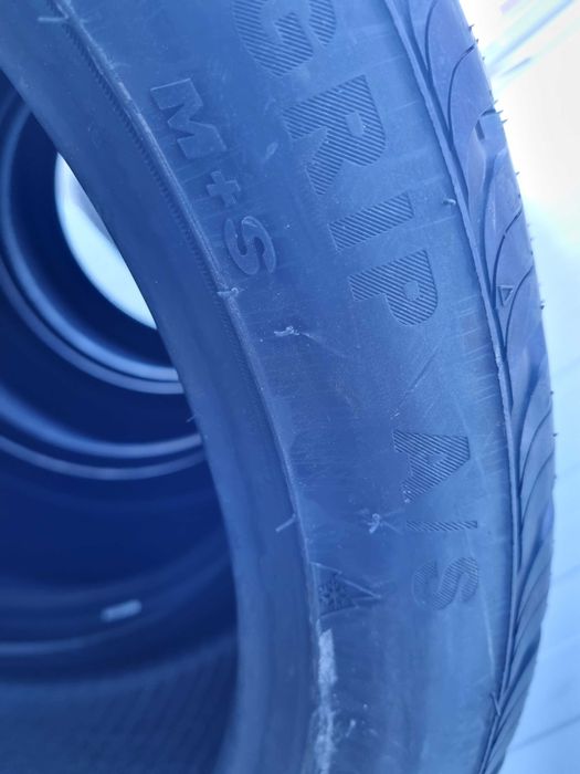 245/40 R19, 98W, GRIPMAX, SureGrip All Season, anvelope mixte