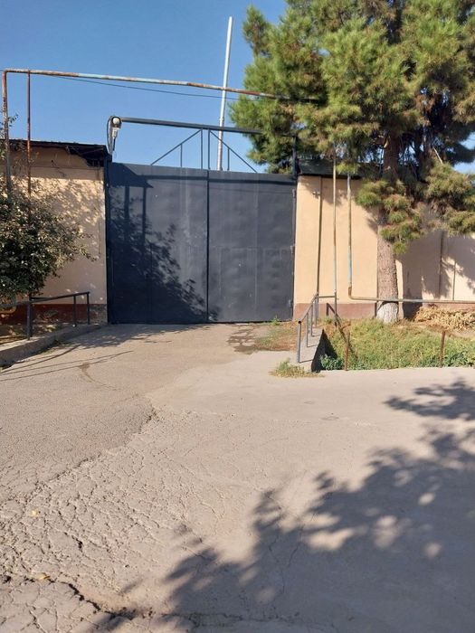 Продажа ЦЕХА 59-соток