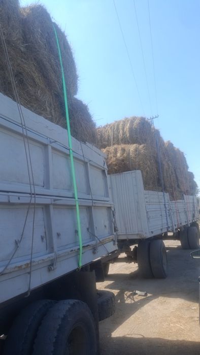 Продам сено в рулонах