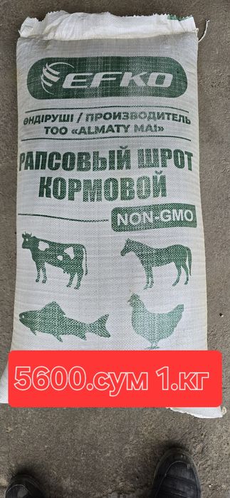 Бугдой   Жухори   Кунжара  Шрот  Арпа Шлуха Рапис  сфатлари алооо