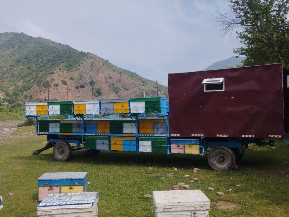 Притсеп сотилади ичида газ плита прапан балон бор