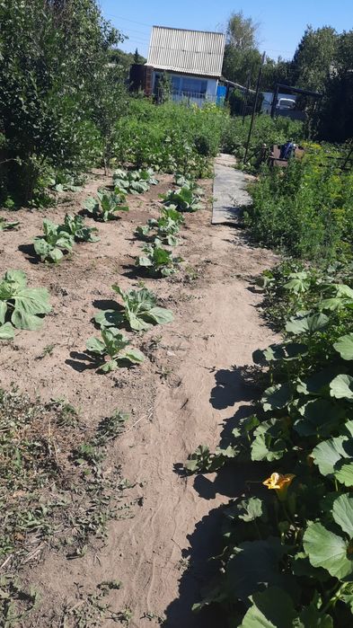 Продам дачу на Солнечной